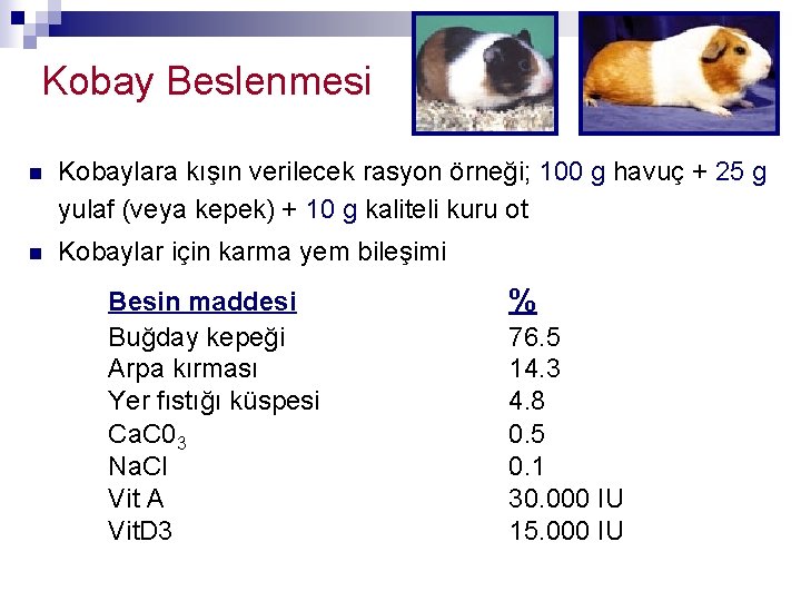 Kobay Beslenmesi n Kobaylara kışın verilecek rasyon örneği; 100 g havuç + 25 g