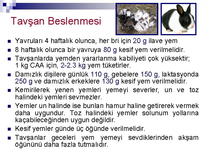 Tavşan Beslenmesi n n n n Yavruları 4 haftalık olunca, her bri için 20