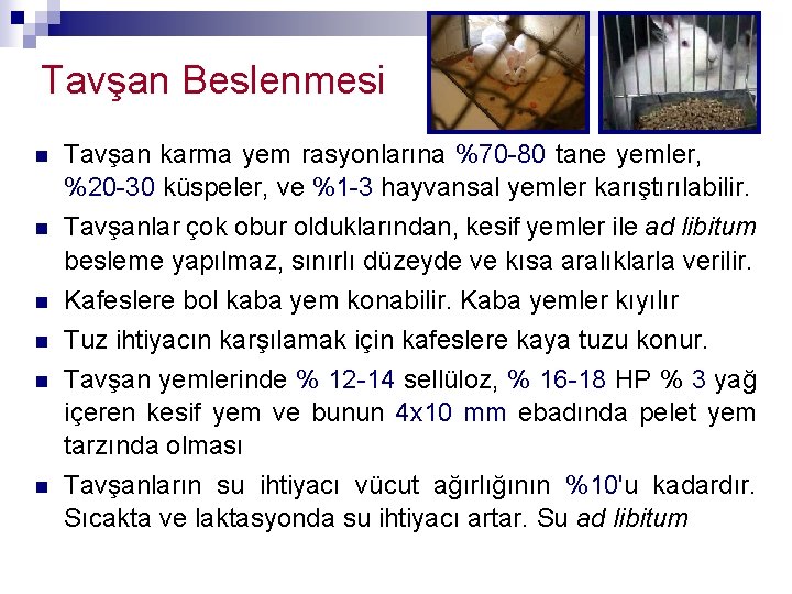 Tavşan Beslenmesi n Tavşan karma yem rasyonlarına %70 -80 tane yemler, %20 -30 küspeler,