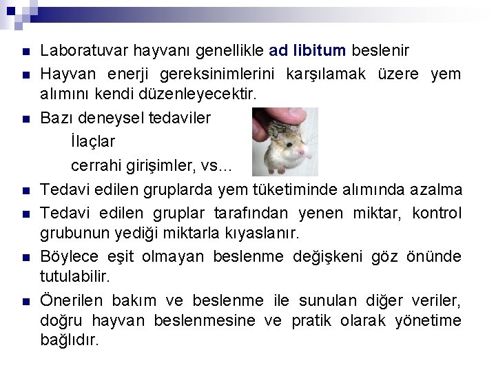 n n n n Laboratuvar hayvanı genellikle ad libitum beslenir Hayvan enerji gereksinimlerini karşılamak