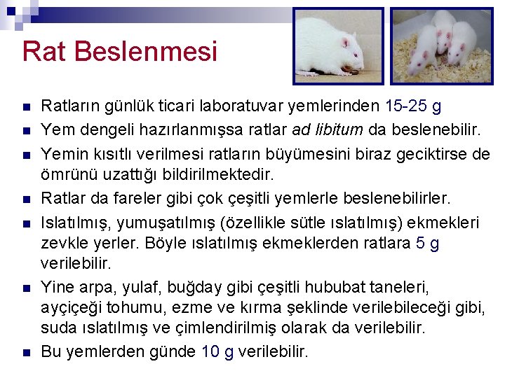 Rat Beslenmesi n n n n Ratların günlük ticari laboratuvar yemlerinden 15 -25 g