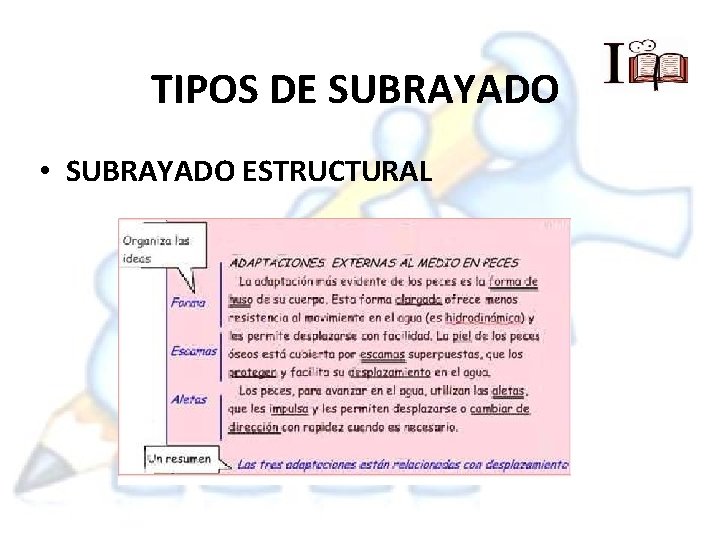 TIPOS DE SUBRAYADO • SUBRAYADO ESTRUCTURAL 