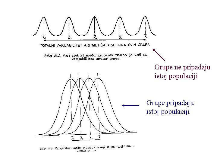 Grupe ne pripadaju istoj populaciji Grupe pripadaju istoj populaciji 