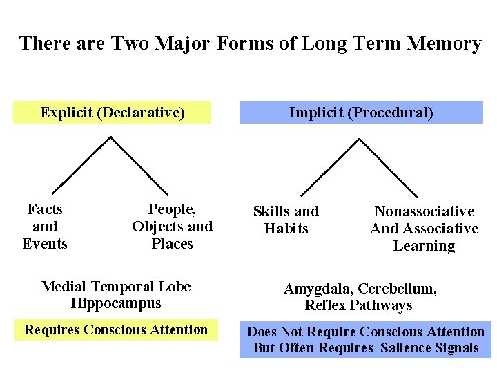 There are Two Major Forms of Long Term Memory Explicit (Declarative) Facts and Events