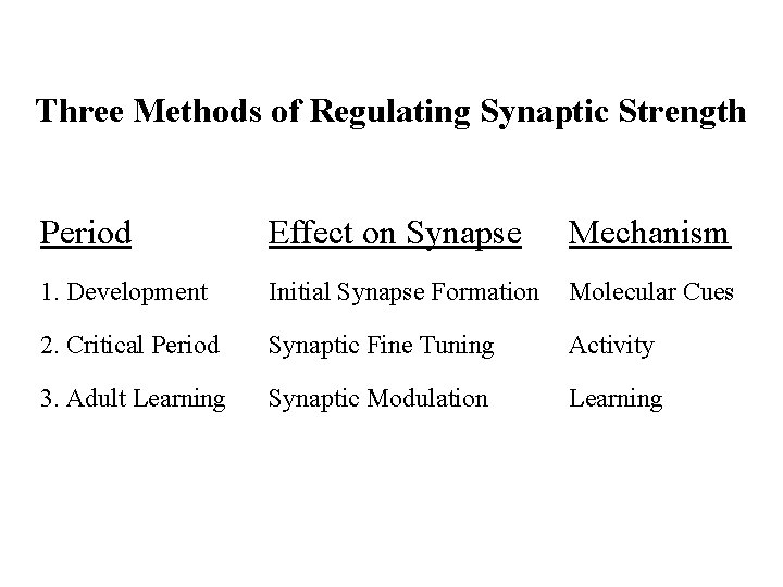 Three Methods of Regulating Synaptic Strength Period Effect on Synapse Mechanism 1. Development Initial