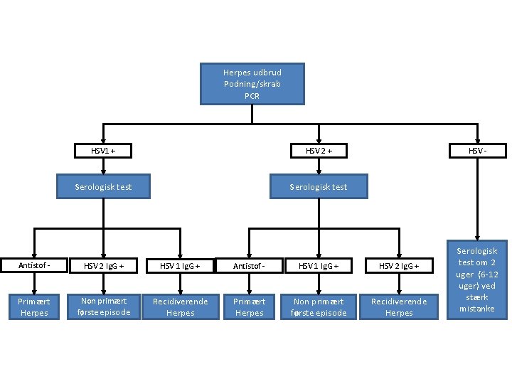 Herpes udbrud Podning/skrab PCR HSV 1 + HSV 2 + Serologisk test HSV -