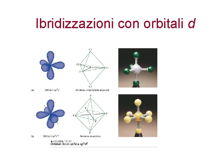 Ibridizzazioni con orbitali d 