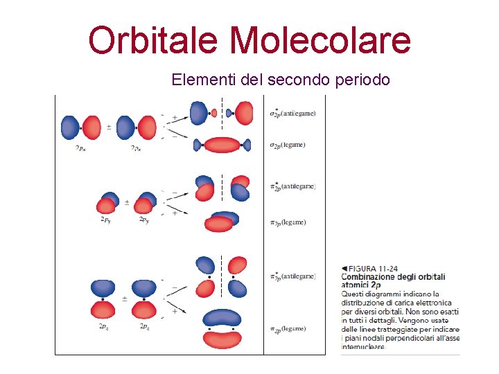 Orbitale Molecolare Elementi del secondo periodo 