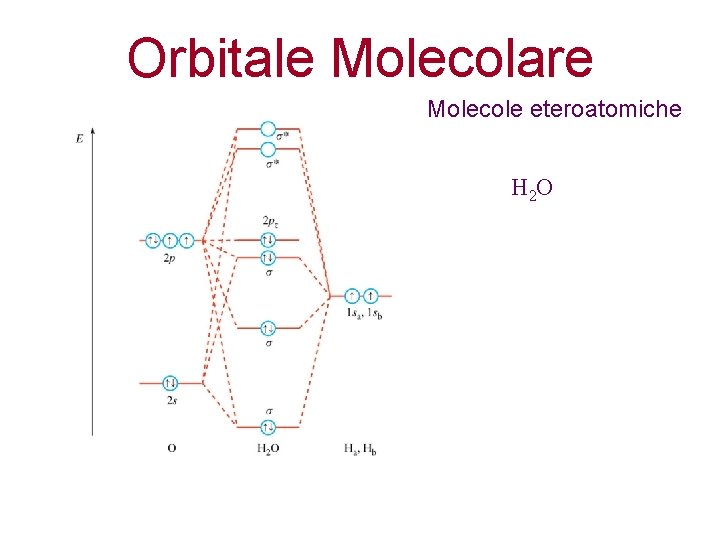 Orbitale Molecolare Molecole eteroatomiche H 2 O 