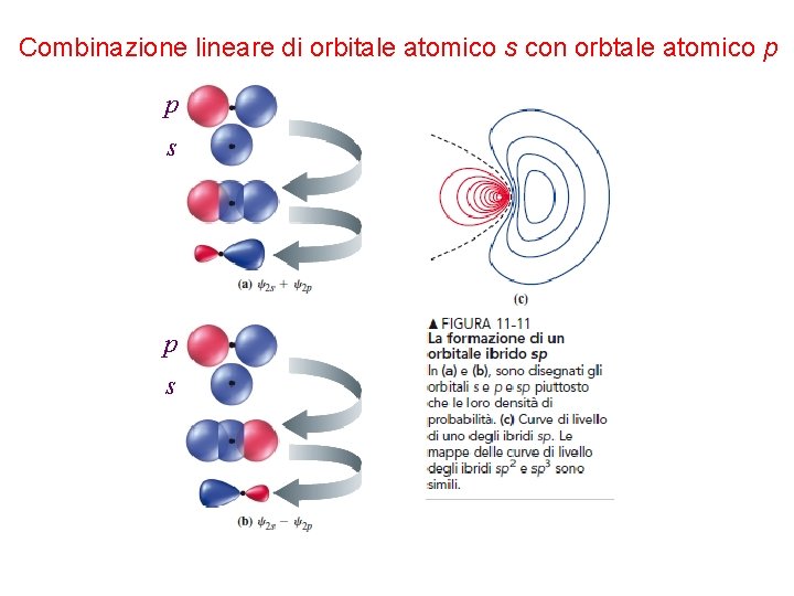 Combinazione lineare di orbitale atomico s con orbtale atomico p p s 