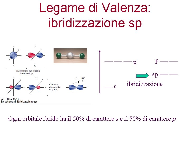 Legame di Valenza: ibridizzazione sp p p sp s ibridizzazione Ogni orbitale ibrido ha