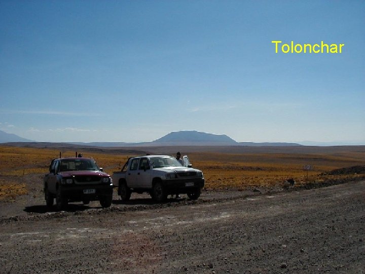 Tolonchar 