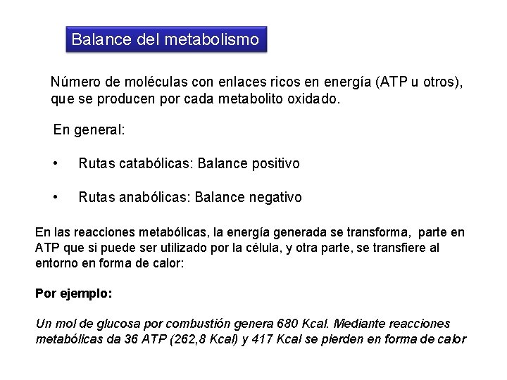 Balance del metabolismo Número de moléculas con enlaces ricos en energía (ATP u otros),