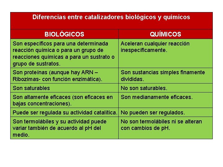Diferencias entre catalizadores biológicos y químicos BIOLÓGICOS QUÍMICOS Son específicos para una determinada Aceleran