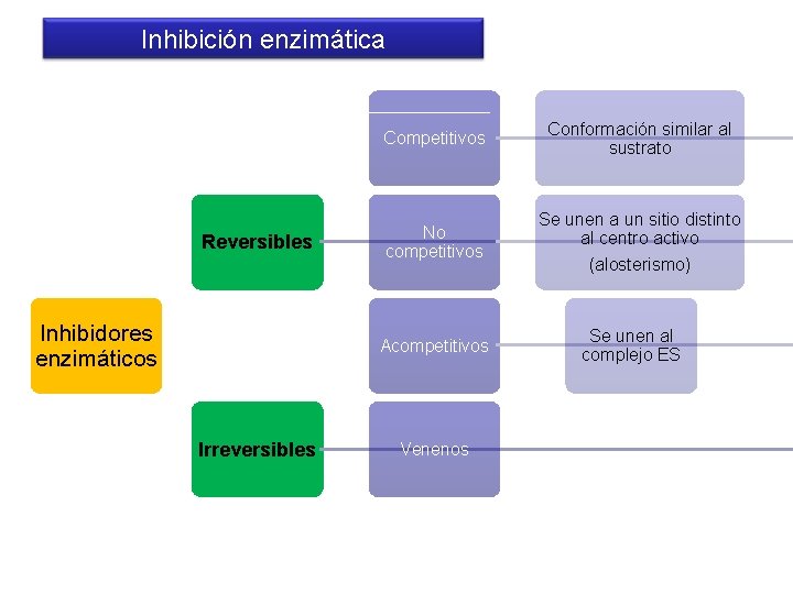 Inhibición enzimática Competitivos Reversibles Inhibidores enzimáticos No competitivos Acompetitivos Irreversibles Venenos Conformación similar al