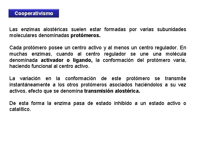 Cooperativismo Las enzimas alostéricas suelen estar formadas por varias subunidades moleculares denominadas protómeros. Cada