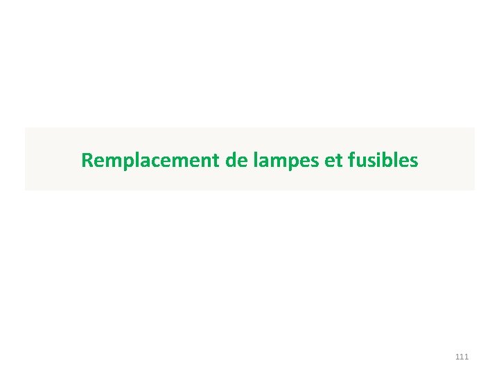 Remplacement de lampes et fusibles 111 