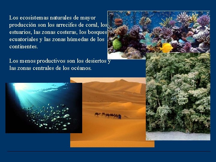 Los ecosistemas naturales de mayor producción son los arrecifes de coral, los estuarios, las