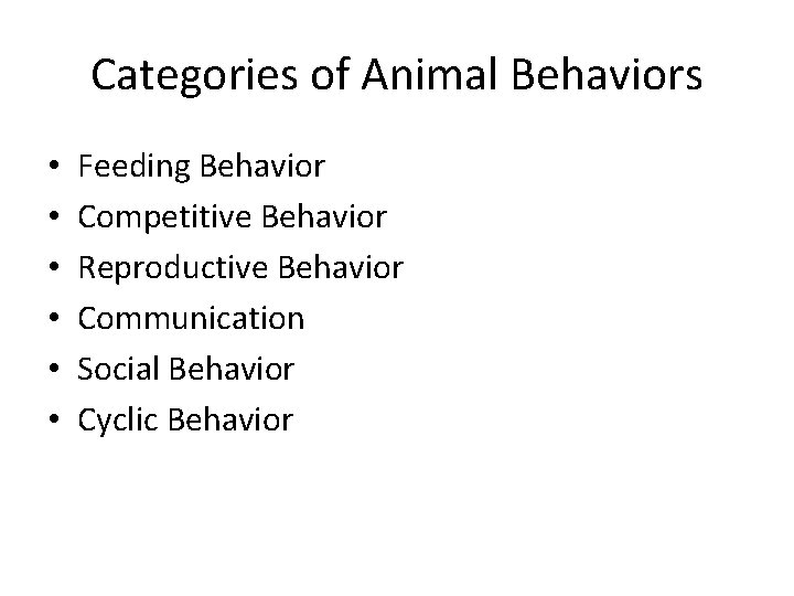 Categories of Animal Behaviors • • • Feeding Behavior Competitive Behavior Reproductive Behavior Communication