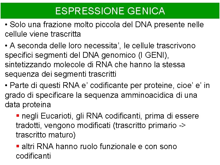 ESPRESSIONE GENICA • Solo una frazione molto piccola del DNA presente nelle cellule viene