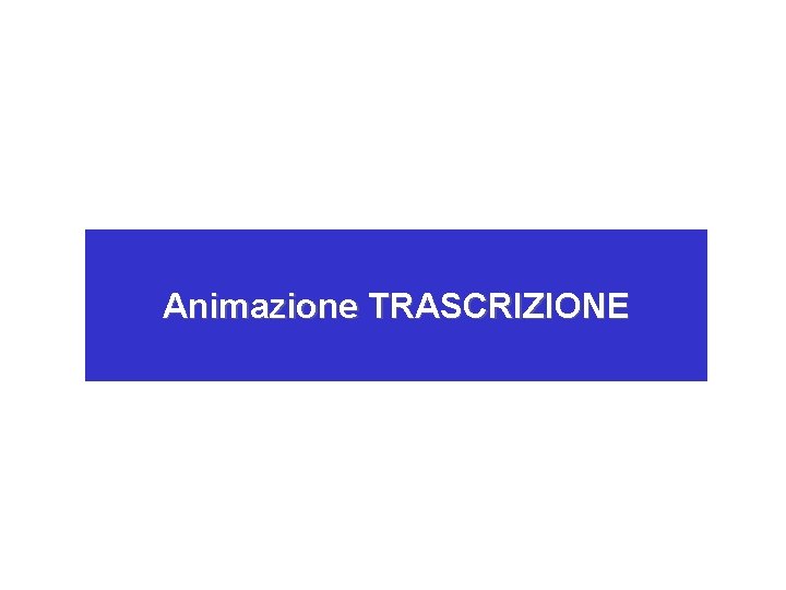 Animazione TRASCRIZIONE 