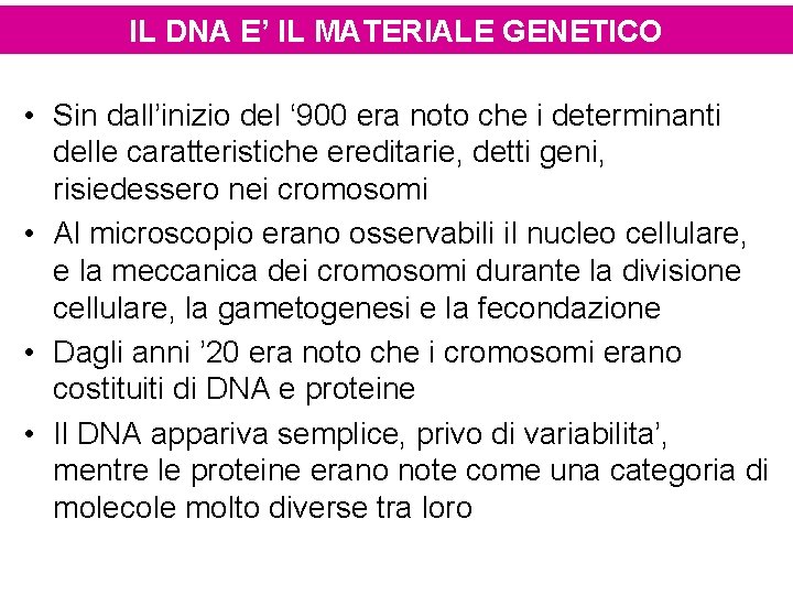 IL DNA E’ IL MATERIALE GENETICO • Sin dall’inizio del ‘ 900 era noto