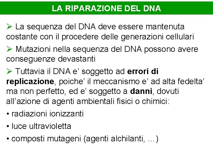 LA RIPARAZIONE DEL DNA Ø La sequenza del DNA deve essere mantenuta costante con