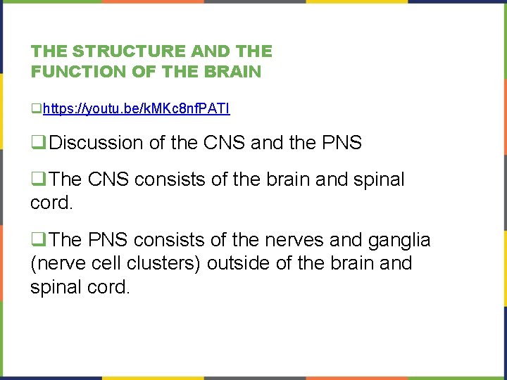 THE STRUCTURE AND THE FUNCTION OF THE BRAIN qhttps: //youtu. be/k. MKc 8 nf.