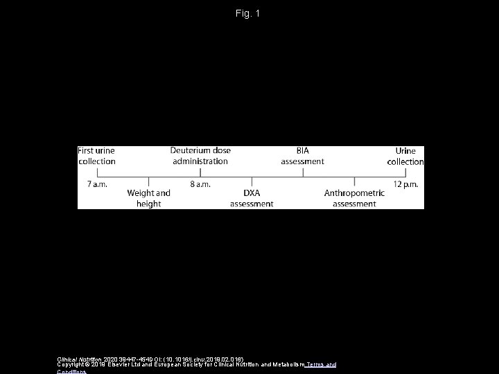 Fig. 1 Clinical Nutrition 2020 39447 -454 DOI: (10. 1016/j. clnu. 2019. 02. 016)