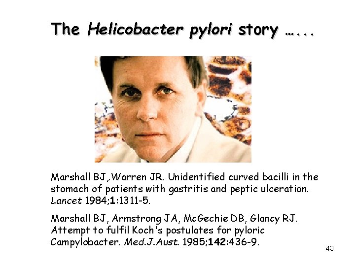 The Helicobacter pylori story …. . . Marshall BJ, . Warren JR. Unidentified curved