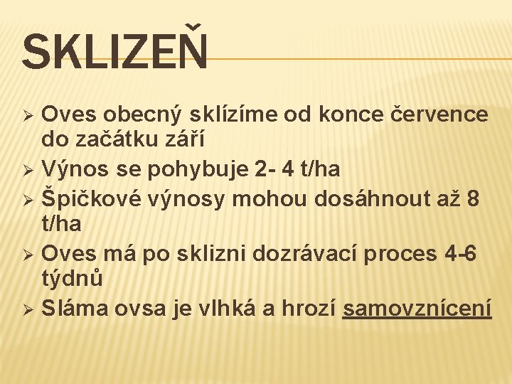 SKLIZEŇ Oves obecný sklízíme od konce července do začátku září Ø Výnos se pohybuje