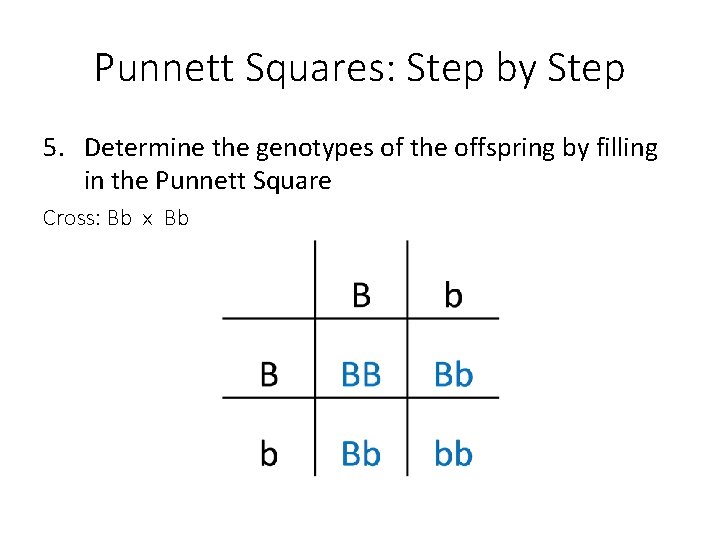 Punnett Squares: Step by Step 5. Determine the genotypes of the offspring by filling