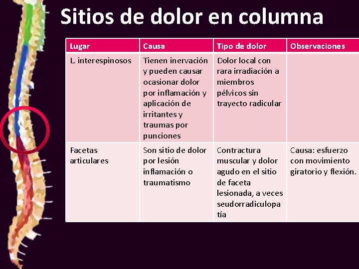 Sitios de dolor en columna Lugar Causa Tipo de dolor Observaciones L. interespinosos Tienen