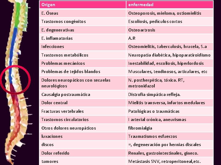 Origen enfermedad E. Óseas Osteoporosis, mieloma, ostiomielitis Trastornos congénitos Escoliosis, pedículos cortos E. degenerativas