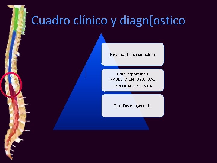 Cuadro clínico y diagn[ostico Historia clínica completa Gran importancia PADECIMIENTO ACTUAL EXPLORACION FISICA Estudios