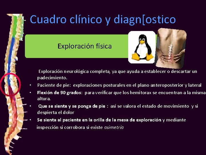 Cuadro clínico y diagn[ostico Exploración física • • • Exploración neurológica completa, ya que