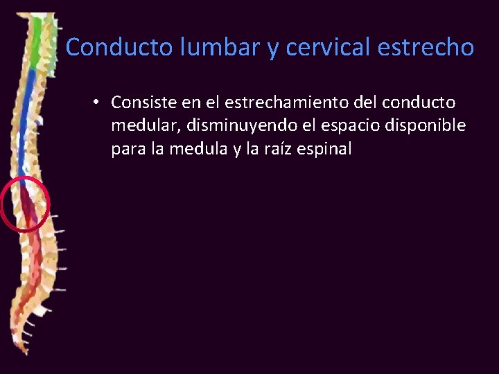 Conducto lumbar y cervical estrecho • Consiste en el estrechamiento del conducto medular, disminuyendo