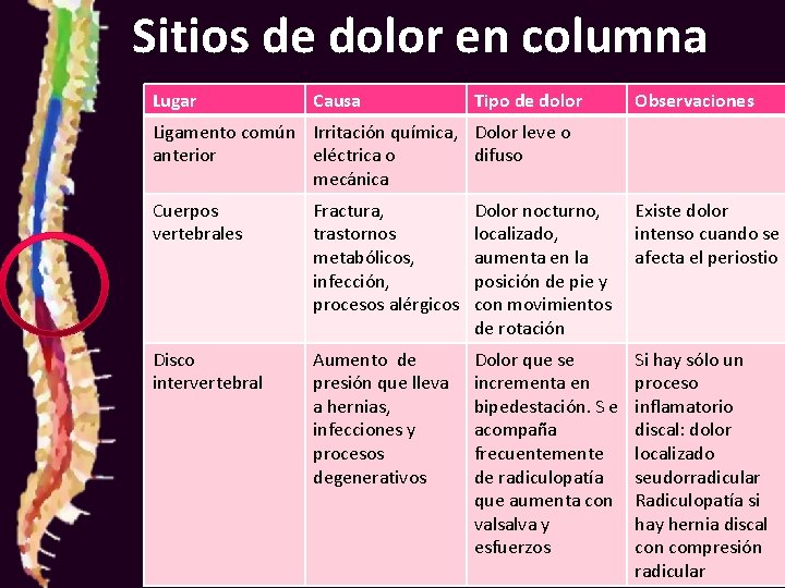 Sitios de dolor en columna Lugar Causa Tipo de dolor Observaciones Ligamento común Irritación