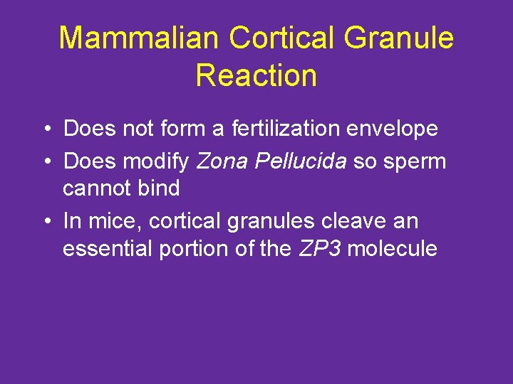 Mammalian Cortical Granule Reaction • Does not form a fertilization envelope • Does modify