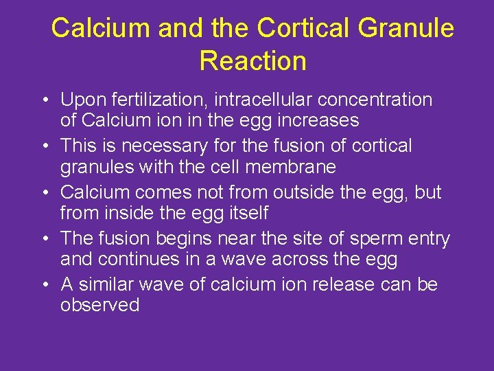 Calcium and the Cortical Granule Reaction • Upon fertilization, intracellular concentration of Calcium ion