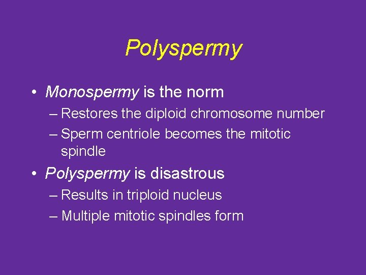 Polyspermy • Monospermy is the norm – Restores the diploid chromosome number – Sperm