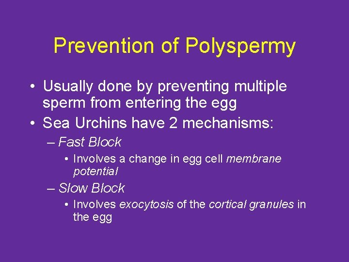 Prevention of Polyspermy • Usually done by preventing multiple sperm from entering the egg