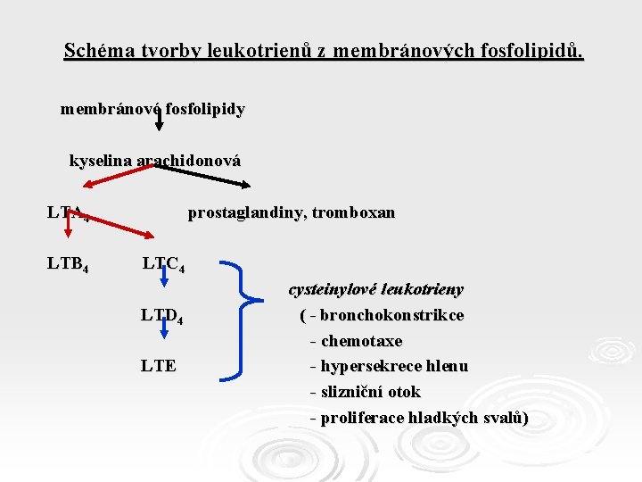 Schéma tvorby leukotrienů z membránových fosfolipidů. membránové fosfolipidy kyselina arachidonová LTA 4 LTB 4