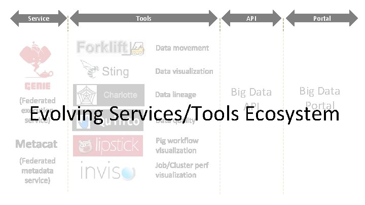 Service Tools API Portal Big Data API Big Data Portal Evolving Services/Tools Ecosystem 