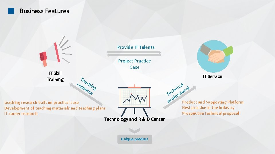 Business Features Provide IT Talents IT Skill Training Project Practice Case IT Service Te