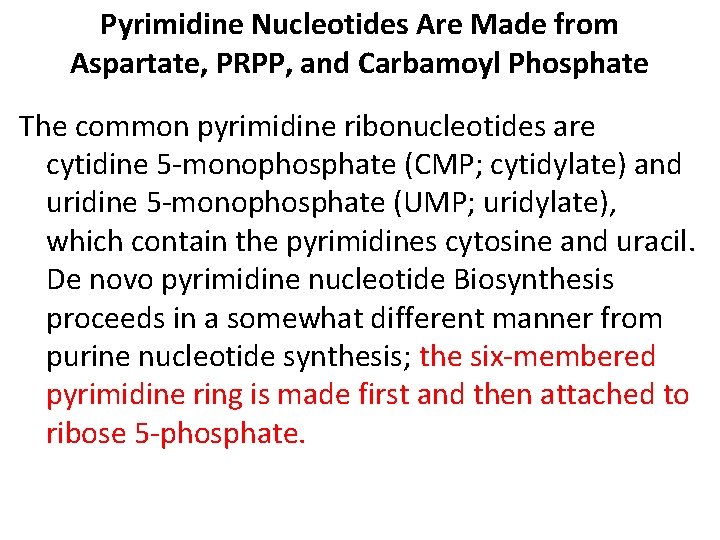 Pyrimidine Nucleotides Are Made from Aspartate, PRPP, and Carbamoyl Phosphate The common pyrimidine ribonucleotides