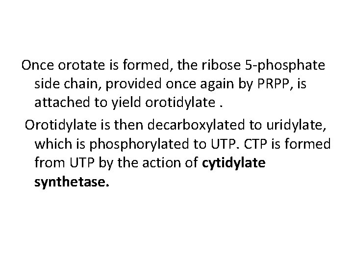 Once orotate is formed, the ribose 5 -phosphate side chain, provided once again by