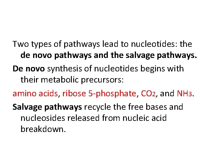 Two types of pathways lead to nucleotides: the de novo pathways and the salvage