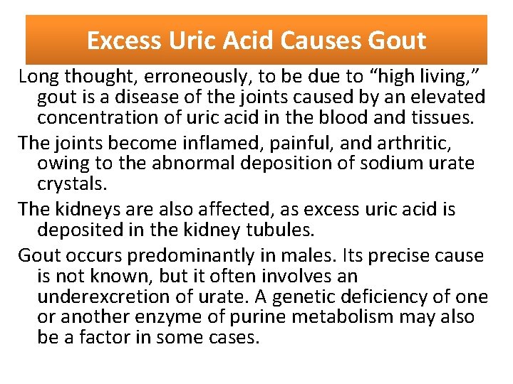 Excess Uric Acid Causes Gout Long thought, erroneously, to be due to “high living,