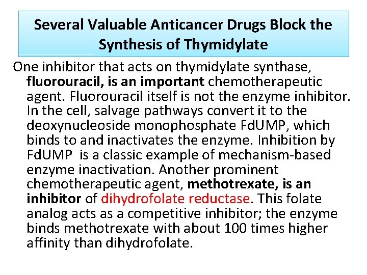 Several Valuable Anticancer Drugs Block the Synthesis of Thymidylate One inhibitor that acts on